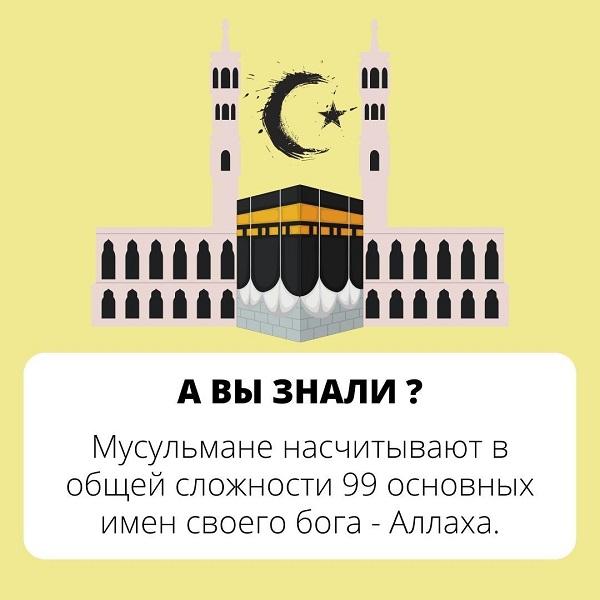 Картинки с ответами на вопрос "А вы знали?"