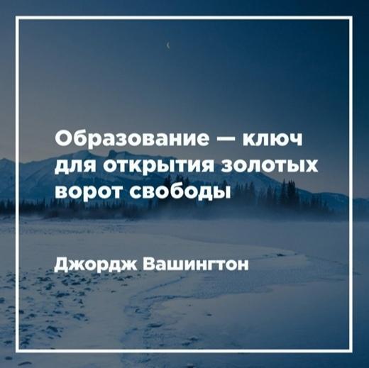 Подробнее о статье Короткие фразы про образование