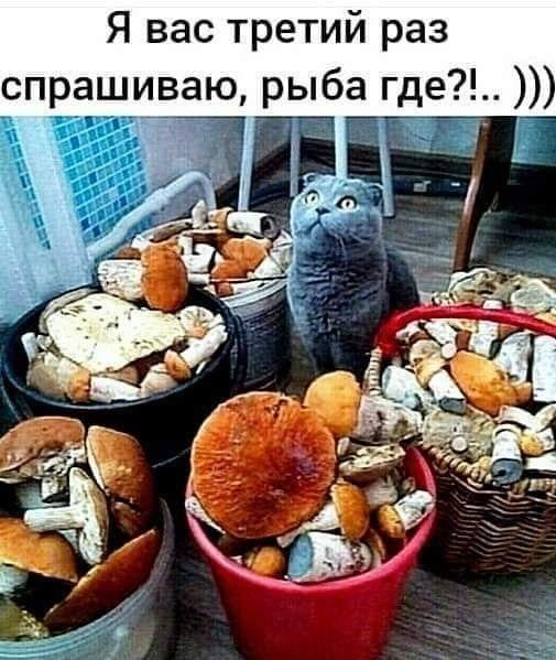 Ржачные до слез мемы для понедельника