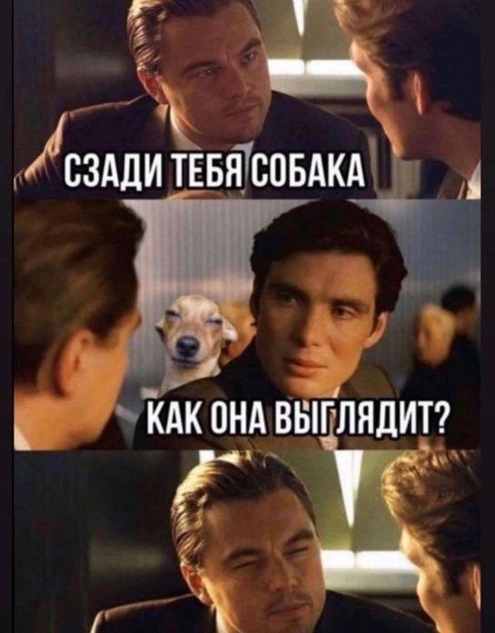 Веселые мемы для среды