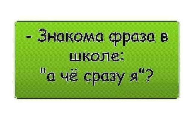 Подробнее о статье Прикольные фразы из школьной жизни