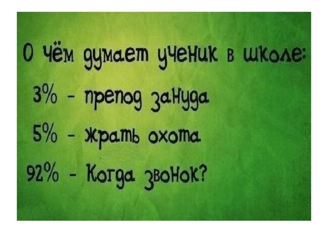 Подробнее о статье Прикольные фразы и выражения про школьную жизнь