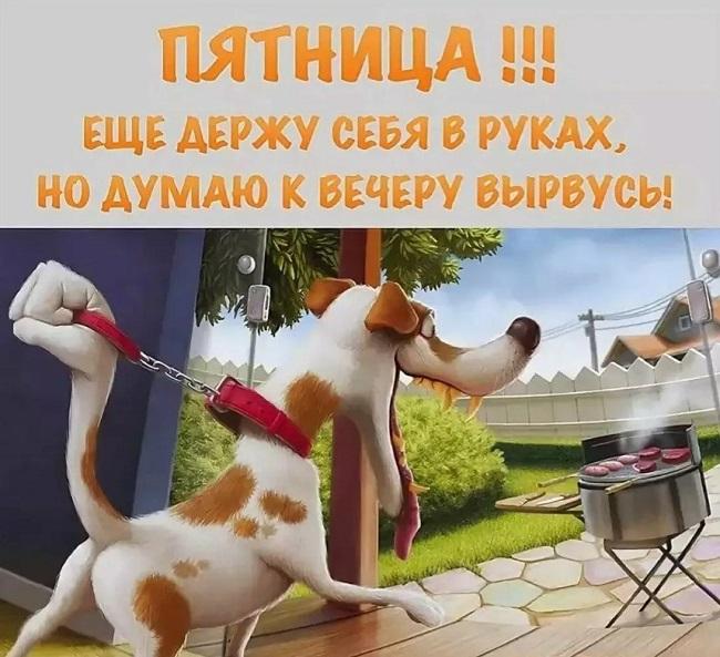 Смешные картинки со статусами про дни недели