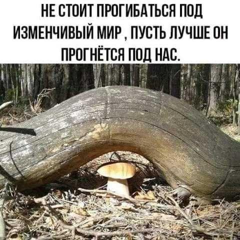 Новые мемы и самые смешные картинки