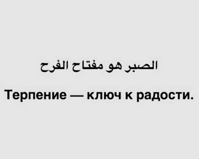 Подробнее о статье Красивые арабские фразы с переводом