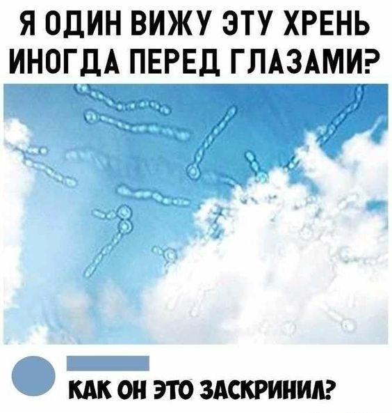 Забавные мемы для пятницы