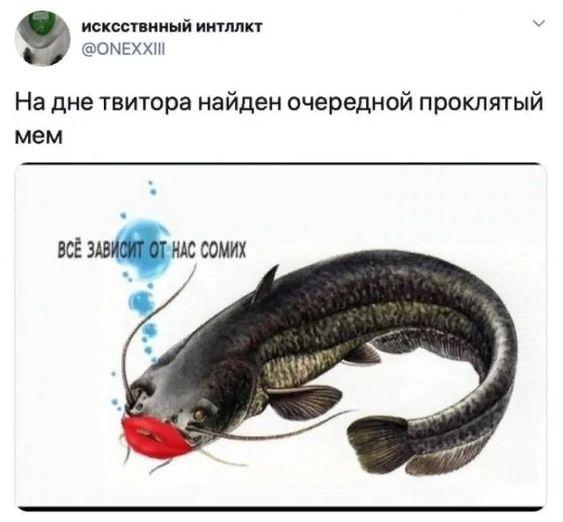 Хорошие мемы для понедельника