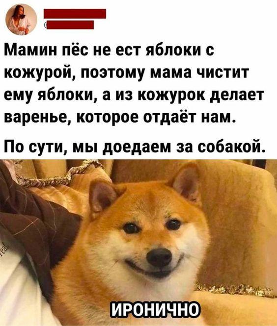 Хорошие мемы для понедельника