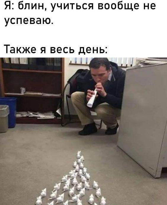 Улетные мемы для понедельника