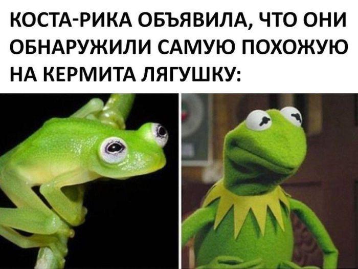 Убойные мемы для понедельника