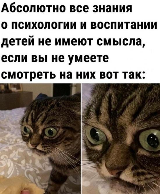 Убойные мемы для понедельника