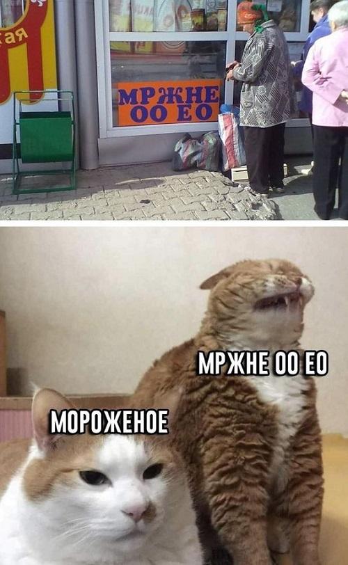 Убойные мемы для понедельника