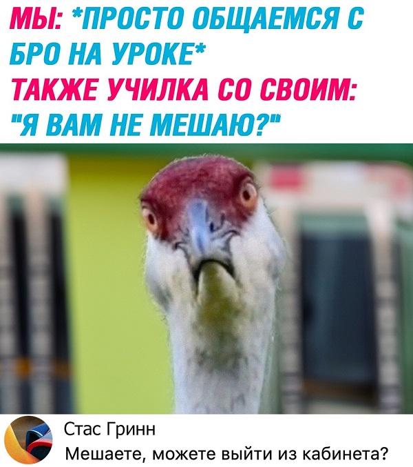 Убойные мемы для среды