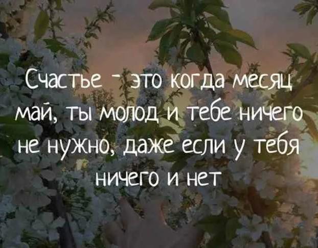 Подробнее о статье Забавные статусы про май