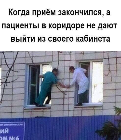 Новые мемы и прикольные до слез картинки