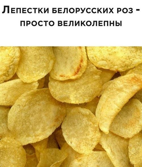 Новые мемы и угарные картинки