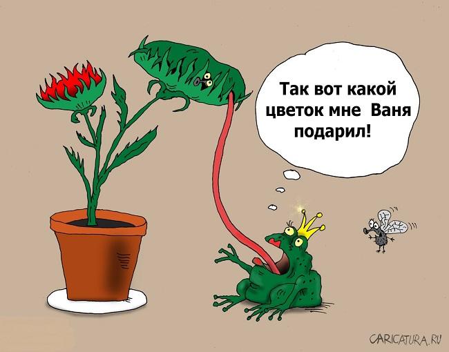 Смешные карикатуры про цветы