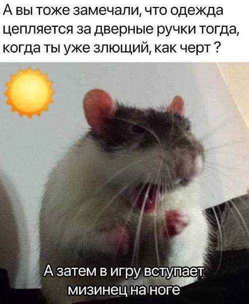 Угарные мемы для пятницы