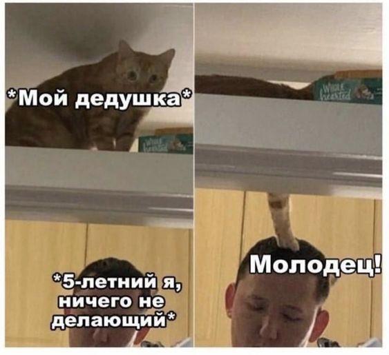 Клевые мемы для понедельника