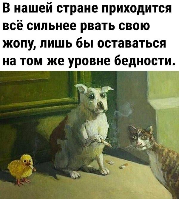 Картинки со свежим юмором