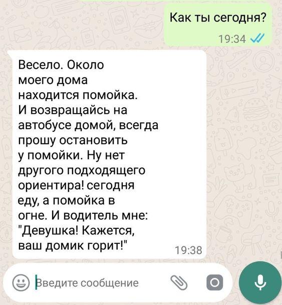 Клевый юмор на картинках