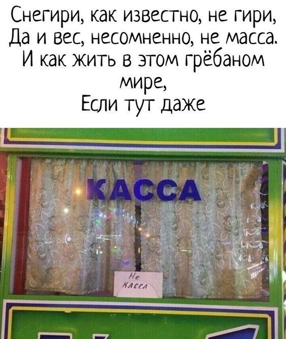 Клевый юмор на картинках