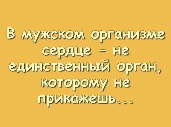 Прикольные картинки на 7 января 2024 года