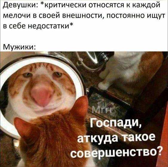 Самый прикольный юмор на картинках