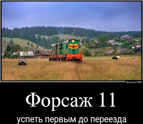 Самый прикольный юмор на картинках