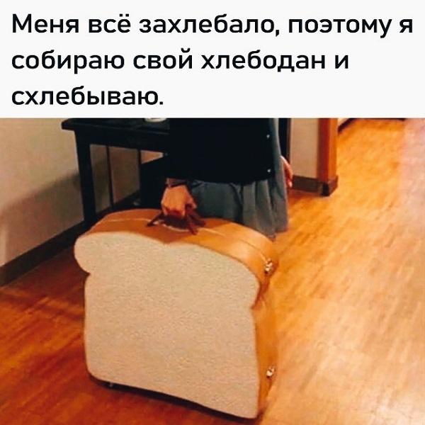 Прикольные картинки со свежим юмором