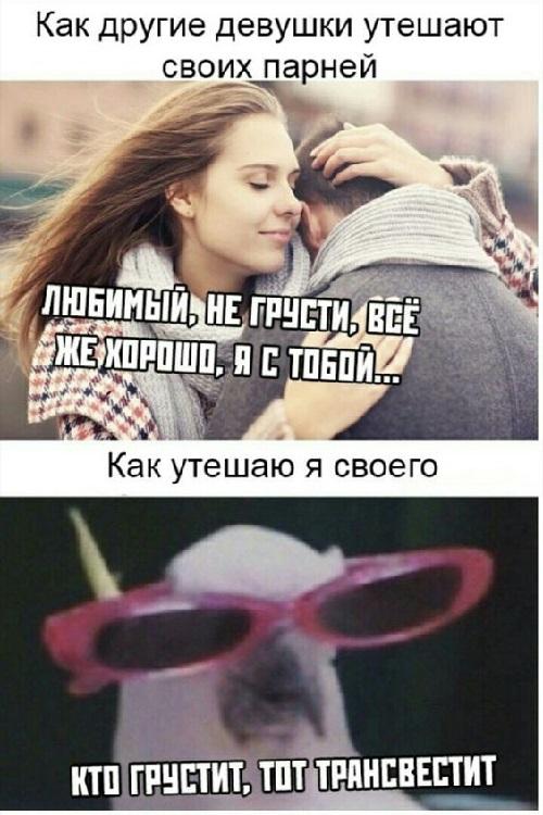 Убойный юмор на картинках