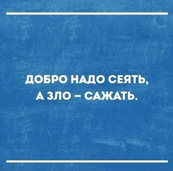 Подробнее о статье Угарный юмор на картинках