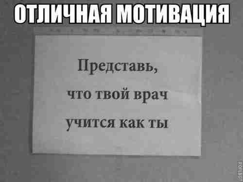 Веселые мемы-картинки