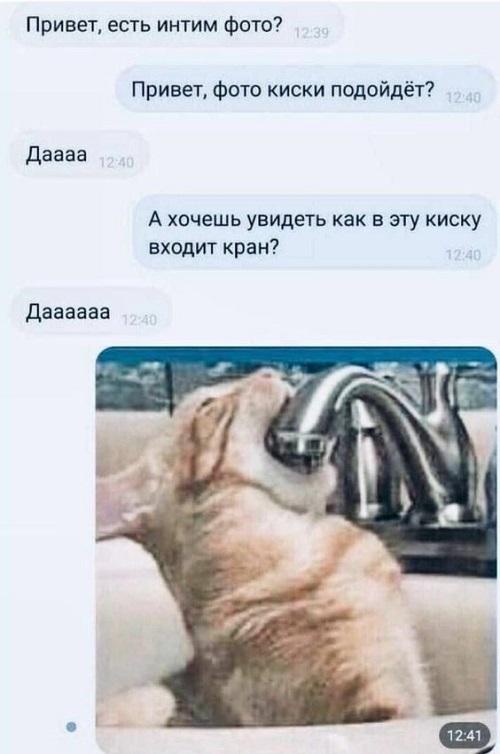 Забавный юмор на картинках