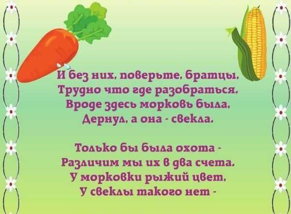 Подробнее о статье Веселые частушки про овощи