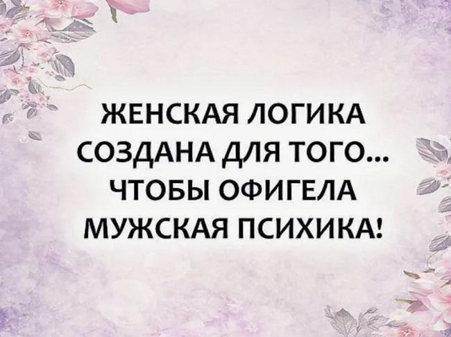 Подробнее о статье Свежие анекдоты про женскую и мужскую логику