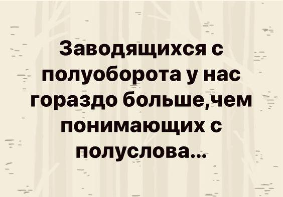 Прикольные картинки на 20 февраля 2024 года