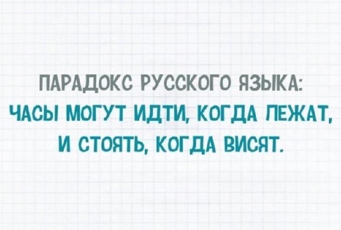 Подробнее о статье Забавная история про русский язык