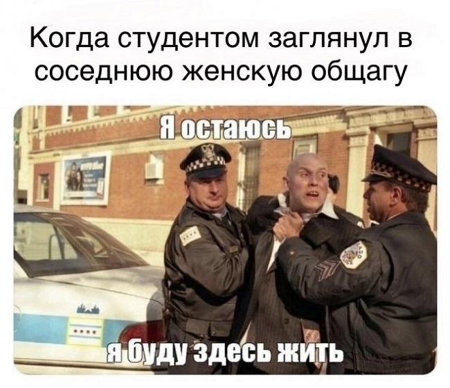 Смотреть смешные мемы