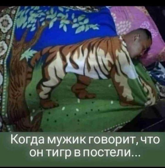 Смотреть смешные мемы