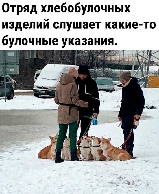 Свежий юмор в самых ржачных картинках