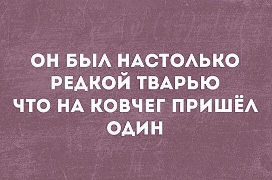 Свежий юмор в прикольных до слез картинках