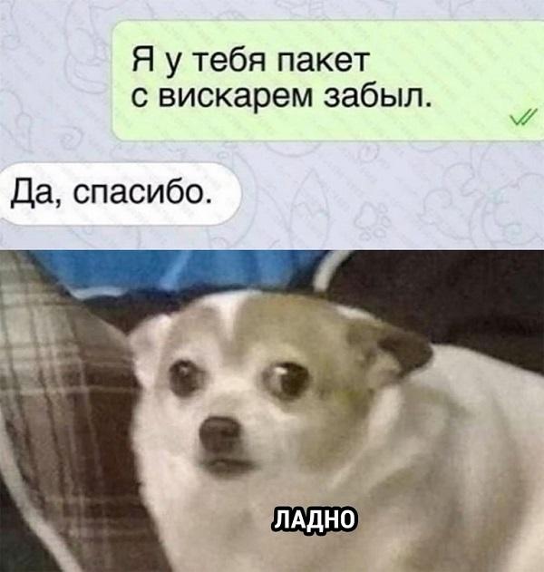 Свежий юмор в ржачных картинках