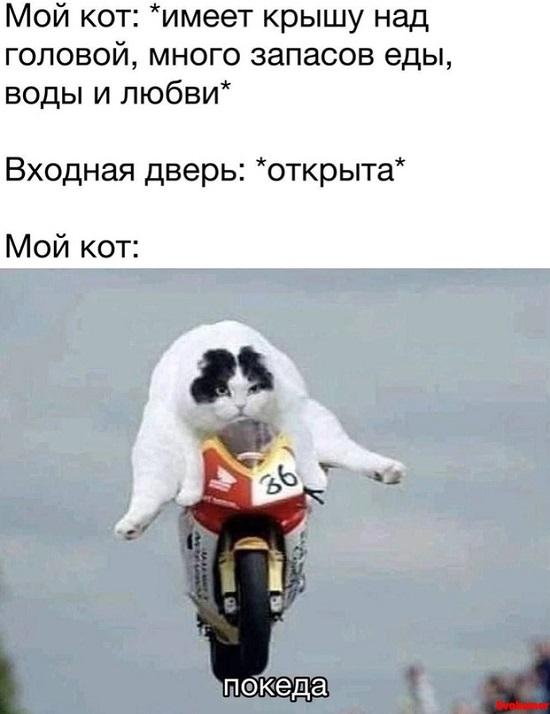 Свежий юмор в смешных картинках