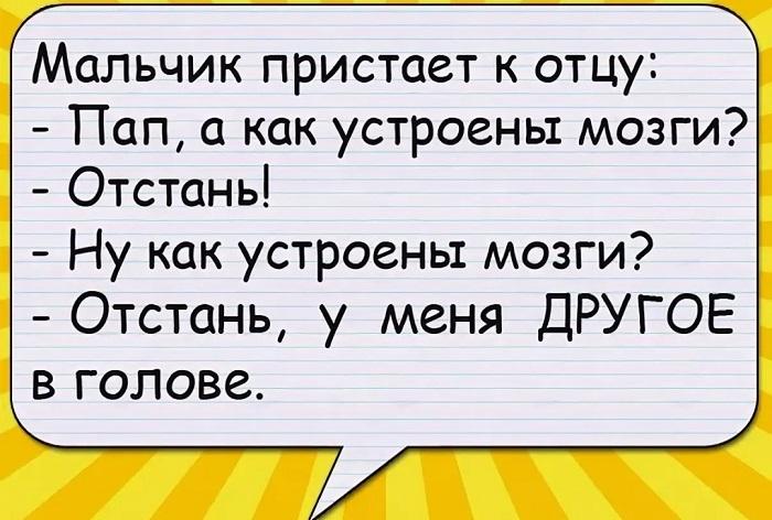 Подробнее о статье Самые смешные анекдоты про детей