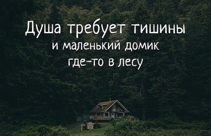 Смешные фразы и выражения про дом