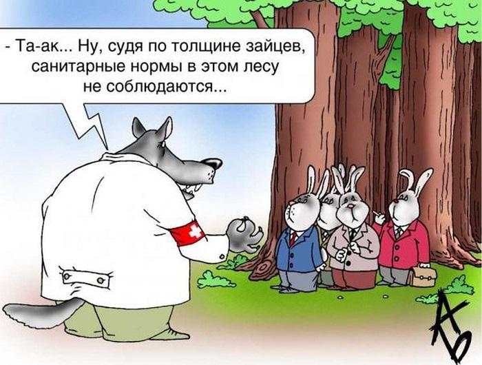 Свежие смешные до слез карикатуры