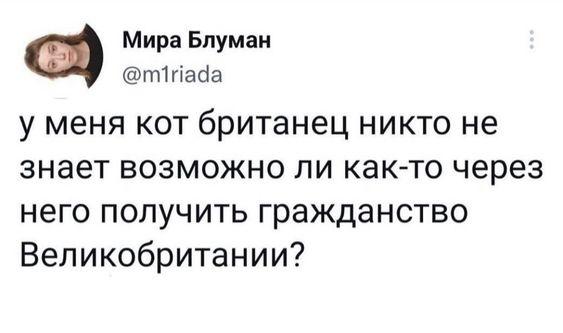 Свежие прикольные картинки для понедельника