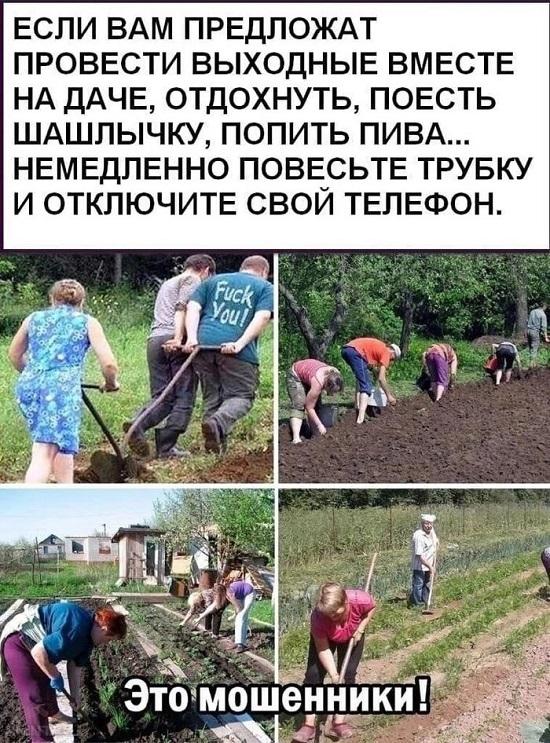 Свежие прикольные картинки для понедельника