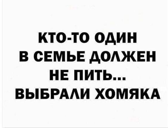 Подробнее о статье Прикольные картинки на 23 апреля 2024 года